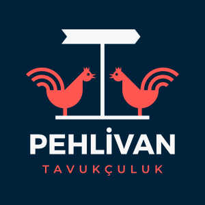 PEHLİVAN TAVUKÇULUK